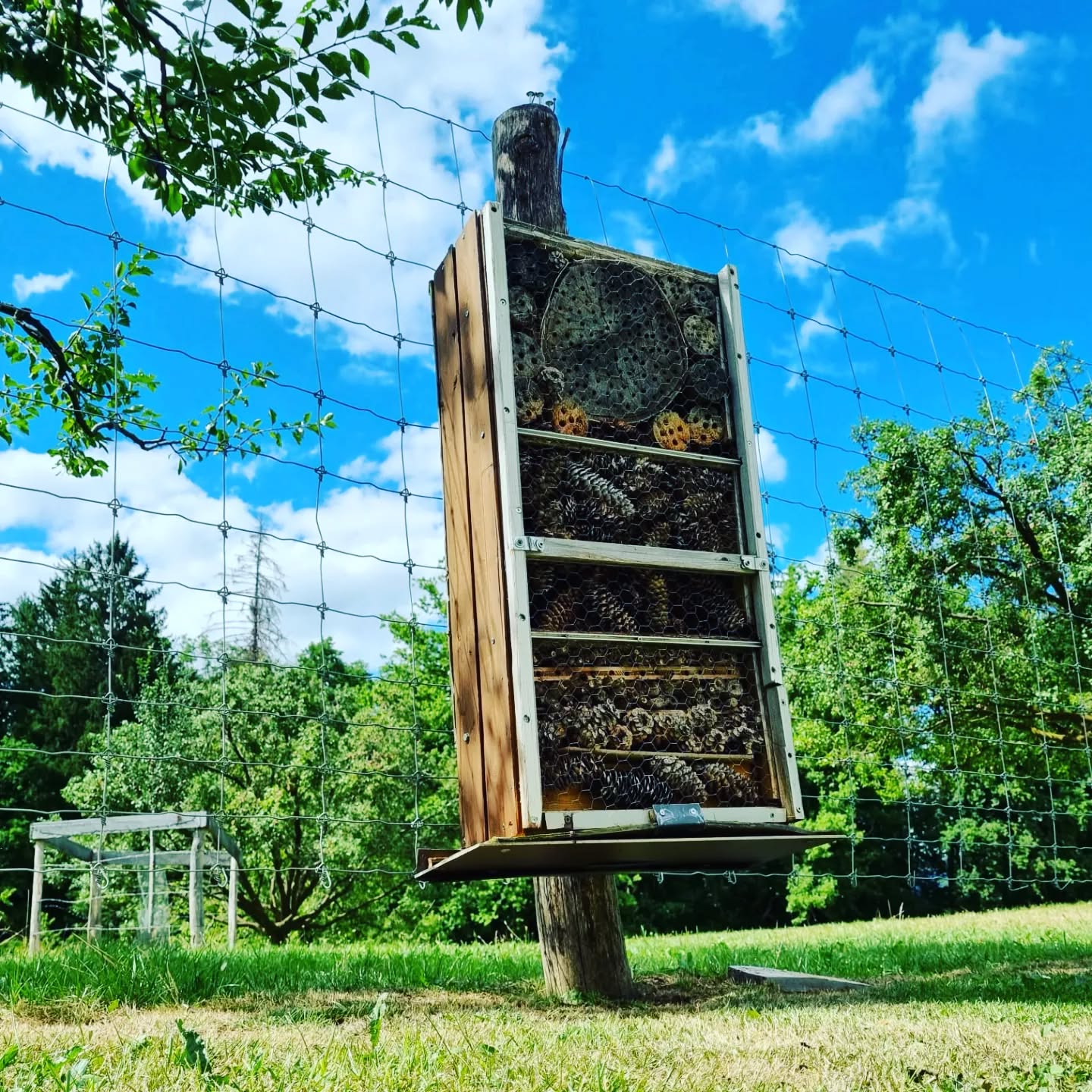 L&rsquo;h&ocirc;tel &agrave; insectes du verger